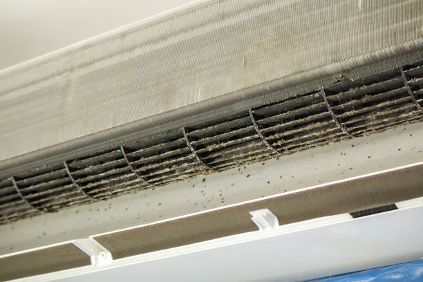 Best Dryer Vent Cleaning Services  in Pce, LA